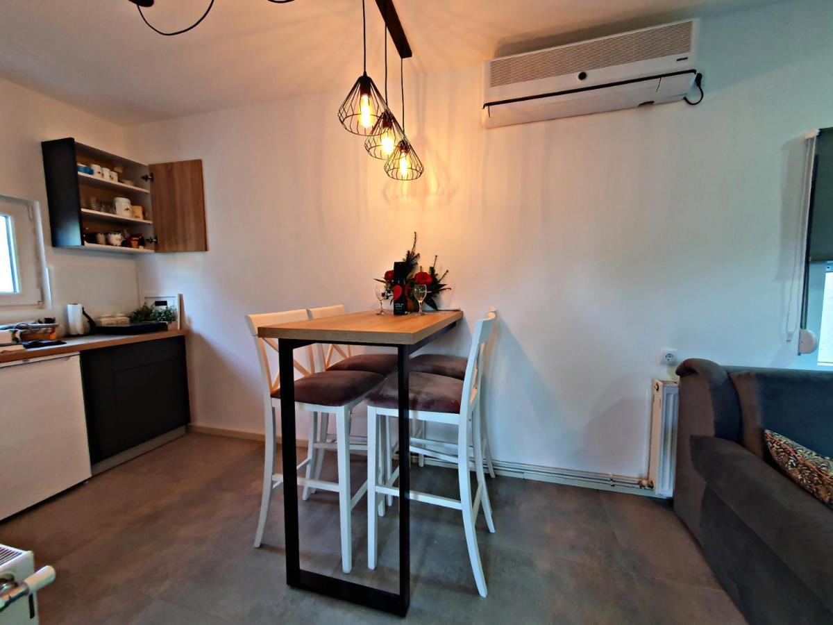 Luxor Apartmani 2 Vrnjačka Banja Eksteriør billede